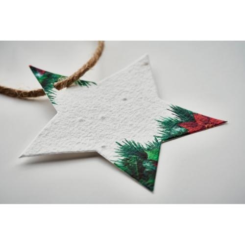 Zaadpapier kerstster wit